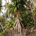 nusalavu_v_0705_0070.jpg